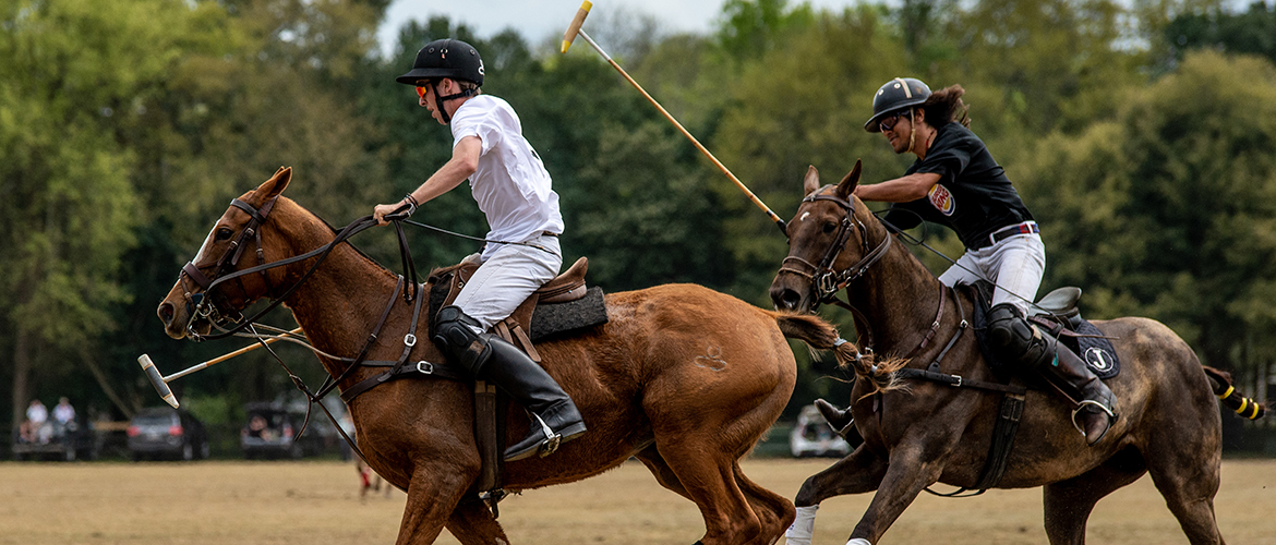 Polo riders competing