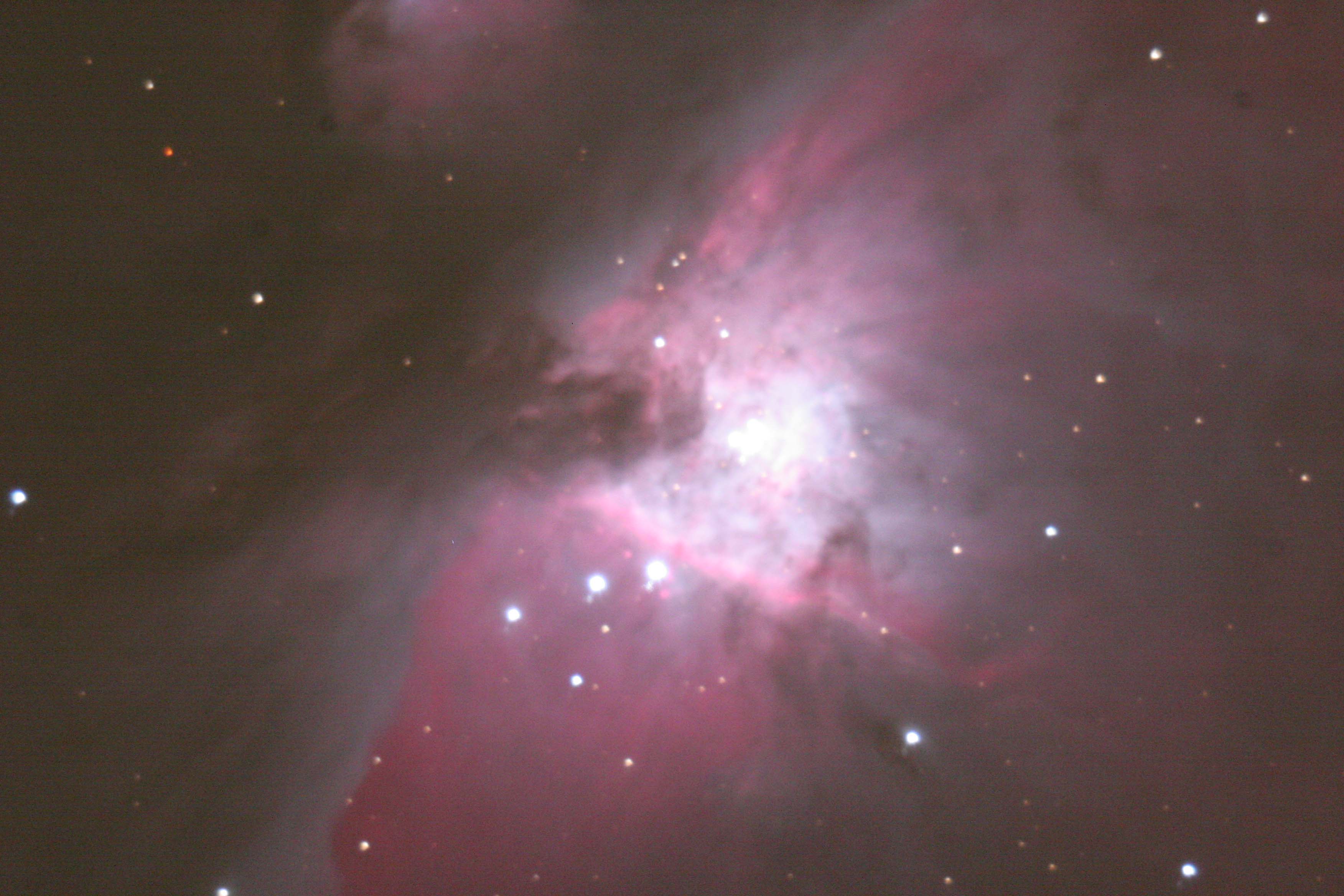 Orion Nebula 2/1/2008