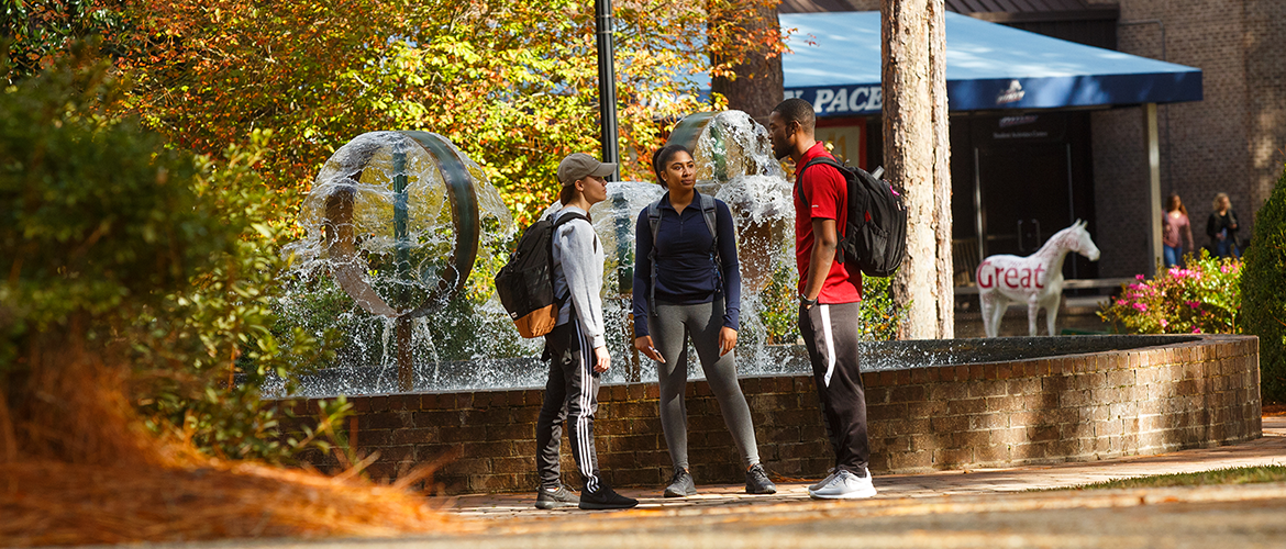 Students standing in front of fountain
