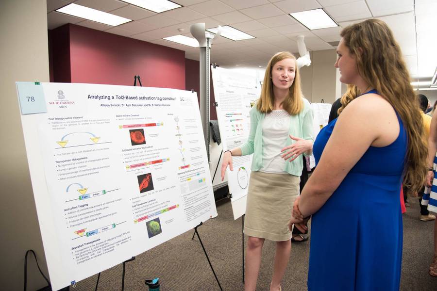 Photo of student discussing her research poster at the annual Scholar Showcase.