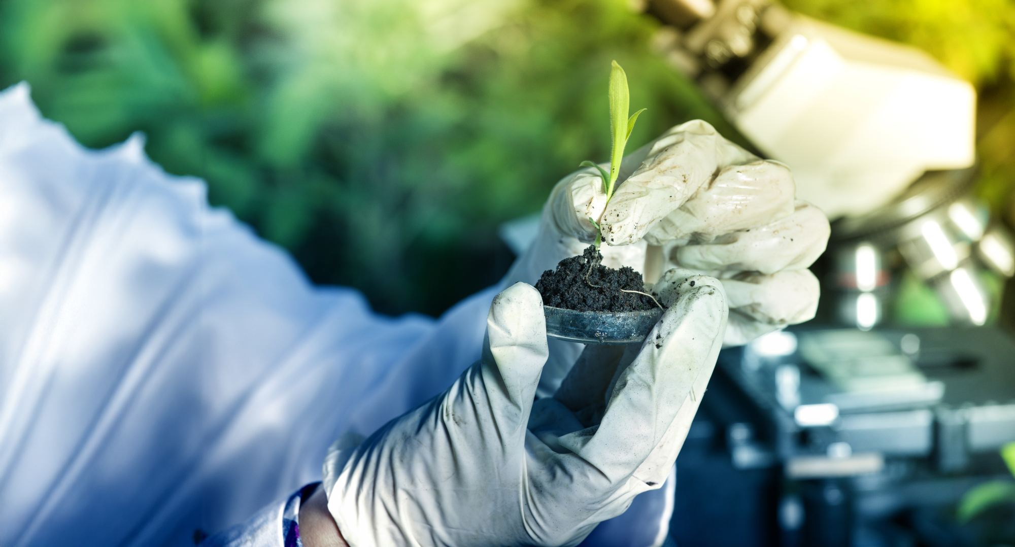 Biological Environmental and Earth Sciences Banner Image