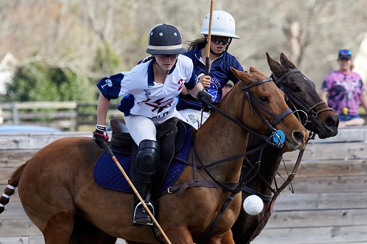 Polo Img 3